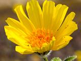 Death Valley 026
